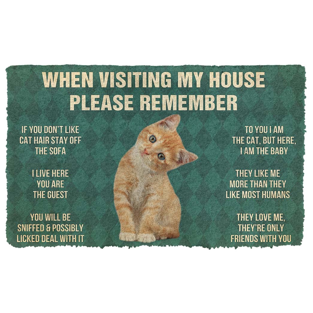 Gearhumans  Gearhuman 3D Please Remember Orange Tabby Kitten Cats House Rules Custom Doormat