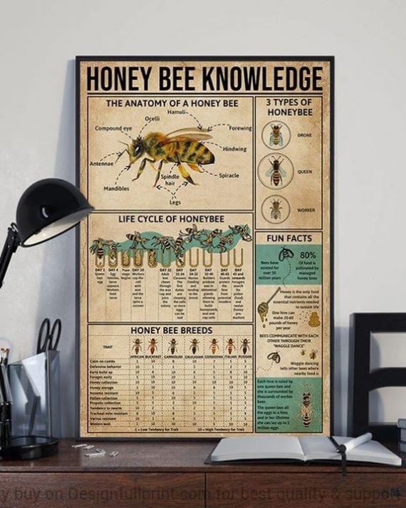 Bee Knowledge Wall Canvas Hg