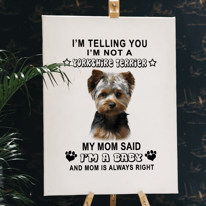 Baby Yorkshire Terrier My Mom Is Always Right Gift For Mommy –  Gift For Mother’S Day, Gift For Family For Home Decor Wall Art Canvas