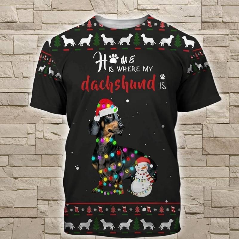 Dachshund N Christmas Hoodie