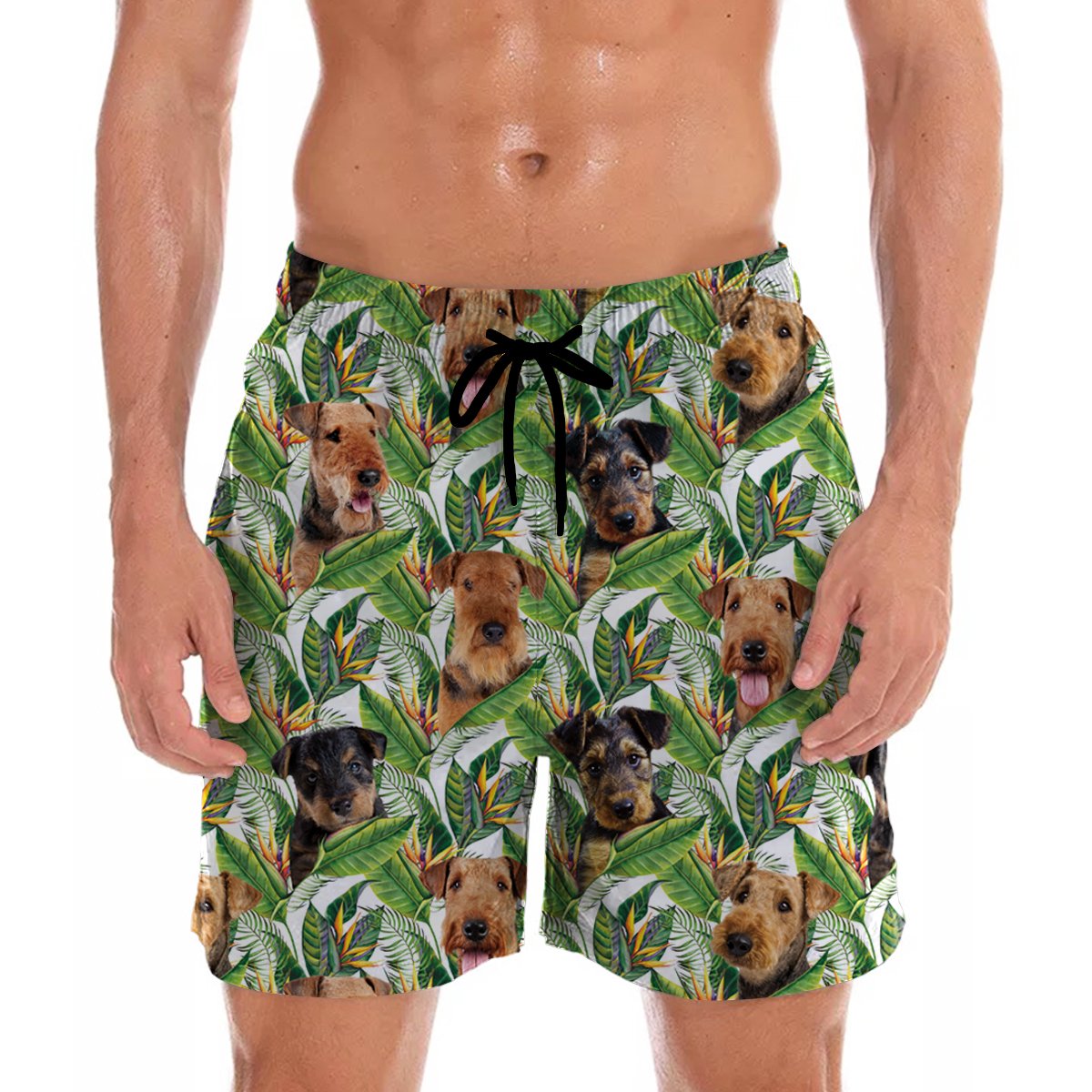 Airedale Terrier Hawaii Shorts Ha38651