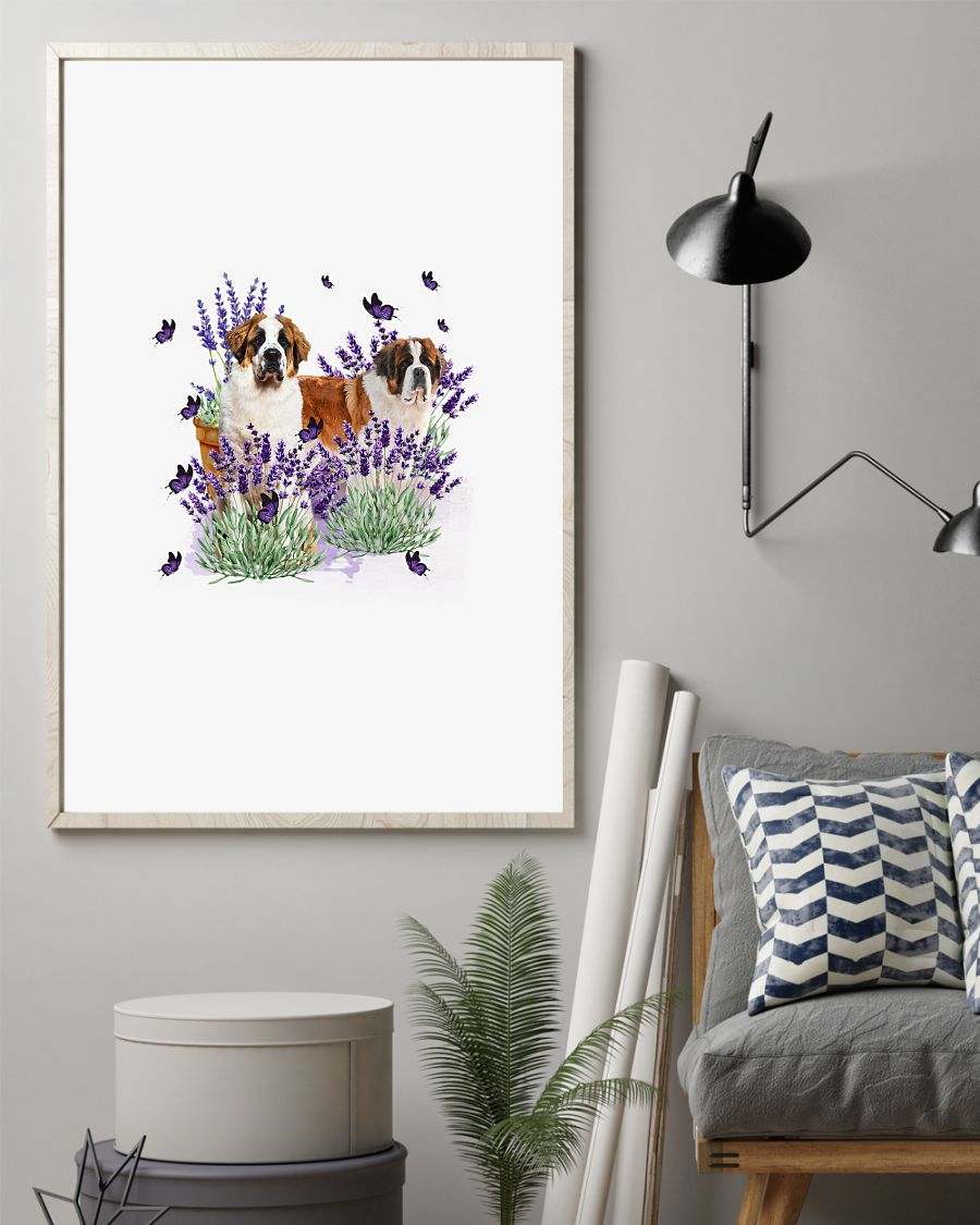 Saint Bernard with lavender flower poster