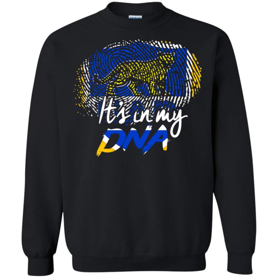 AGR It’s In My DNA Argentina World Cup Rugby Sweatshirt