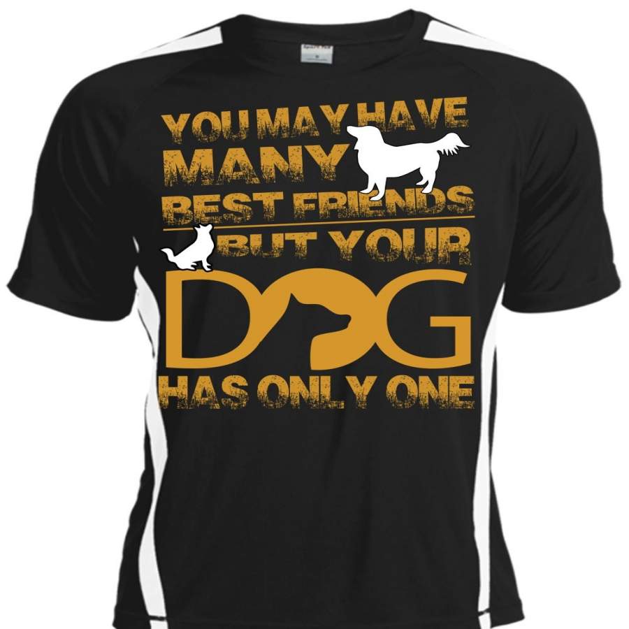 Your Dog Has Only One T Shirt, You May Have Many Best Friend T Shirt, Cool Shirt