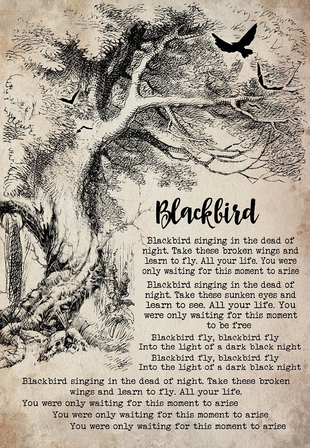 Blackbird Song Lyrics Poster, Wall Art, Home Decor