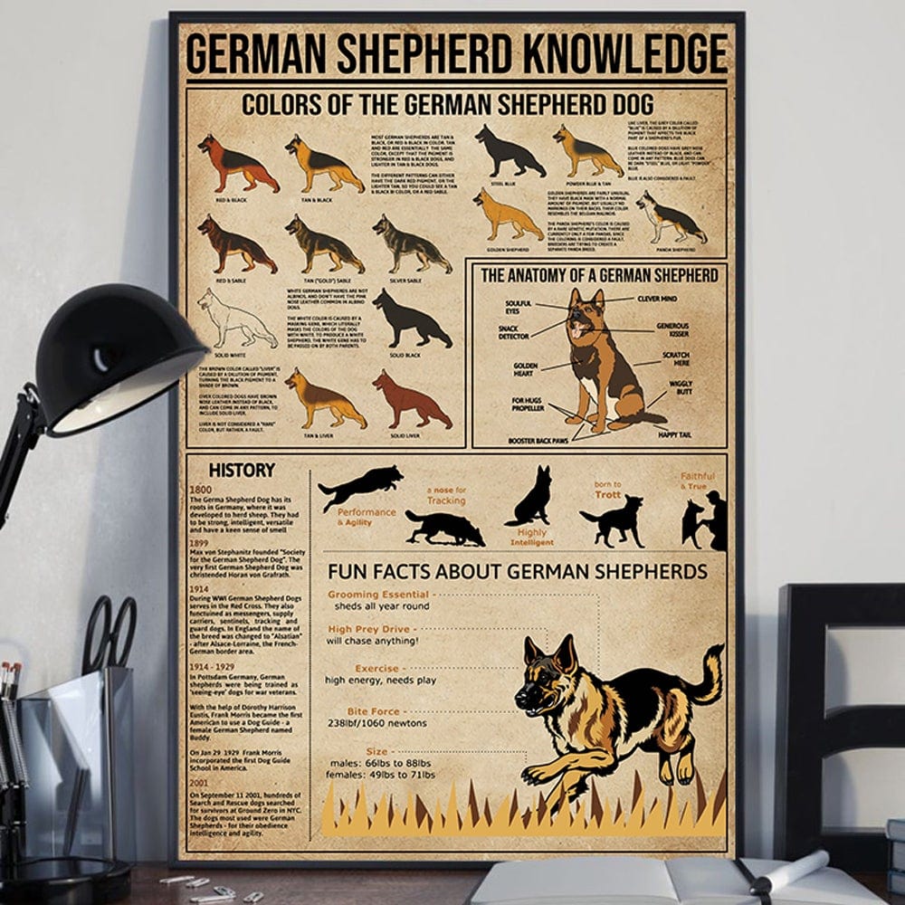 German Shepherd Knowledge Poster  Canvas