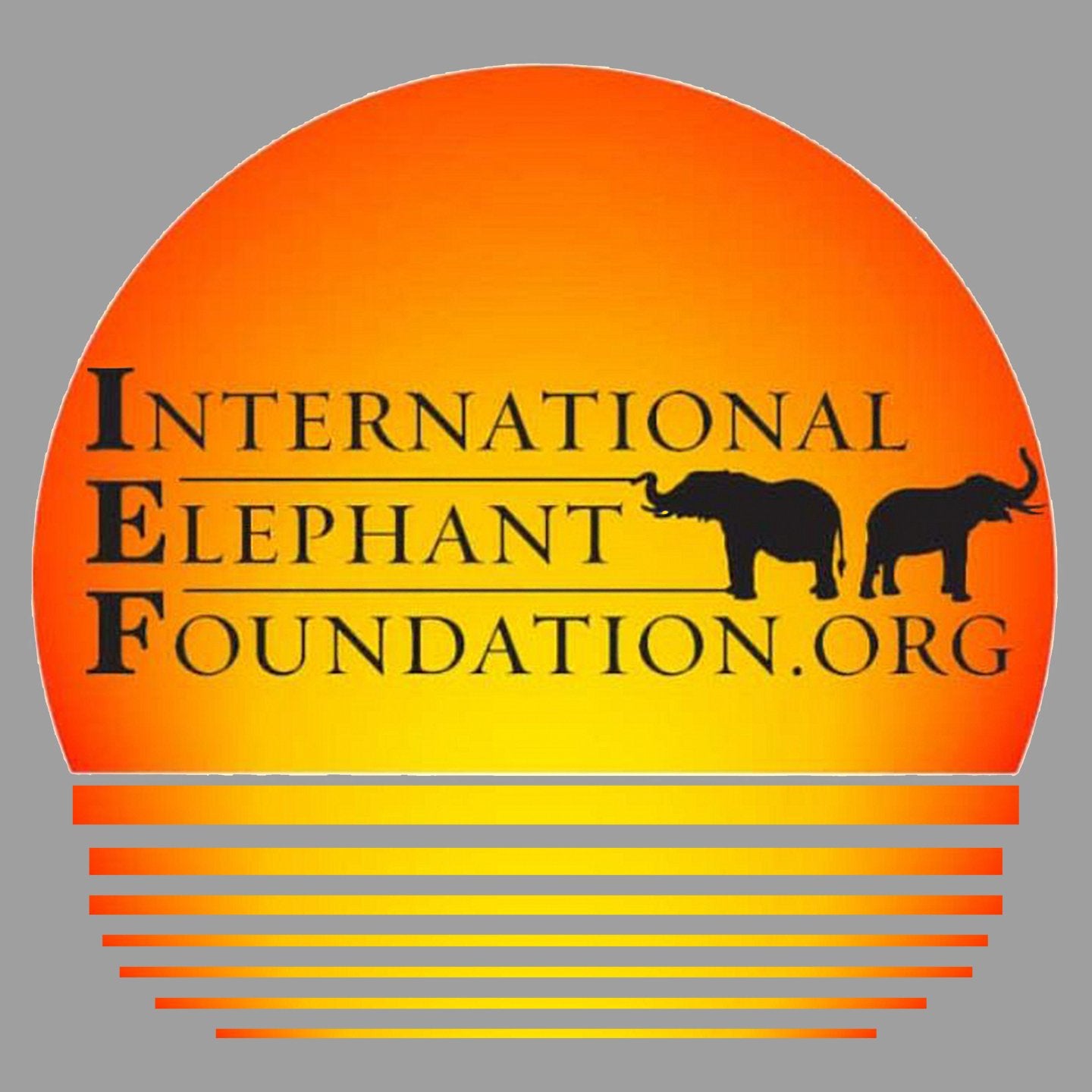 International Elephant Foundation Sunset Logo – Adult Tri-Blend T-Shirt