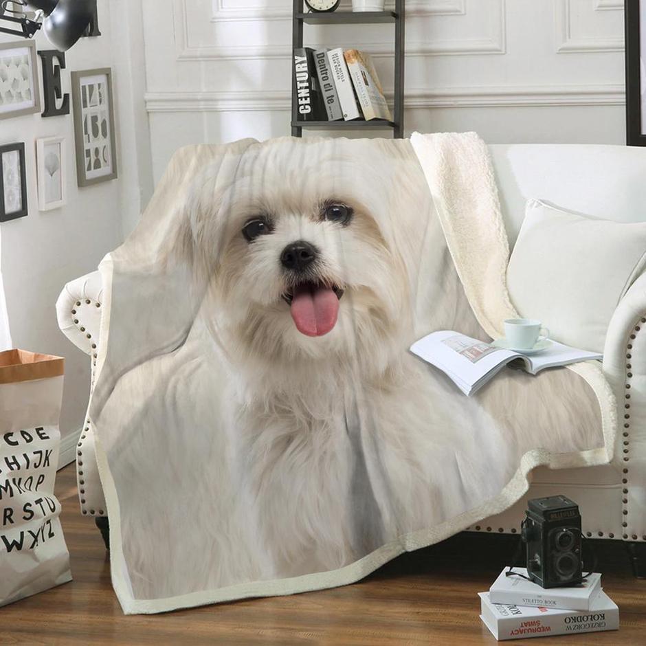 Maltese Dog Portrait Fur Printed Blanket