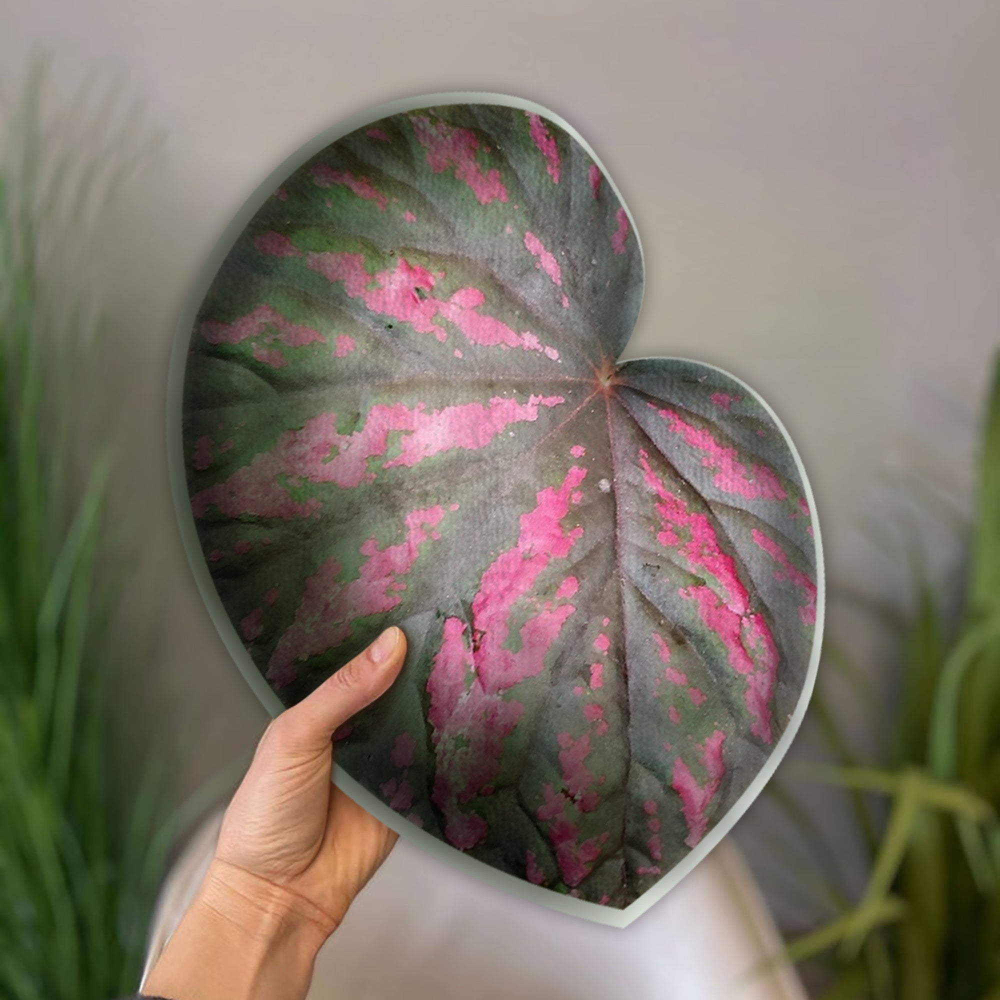 Begonia Candy Stripe Leaf Pillow Best Gift For Gardener