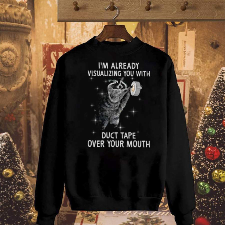 Racoon i’m already visualizing you with duct tape over your mouth cute animal black sweatshirt for men and women S-5XL