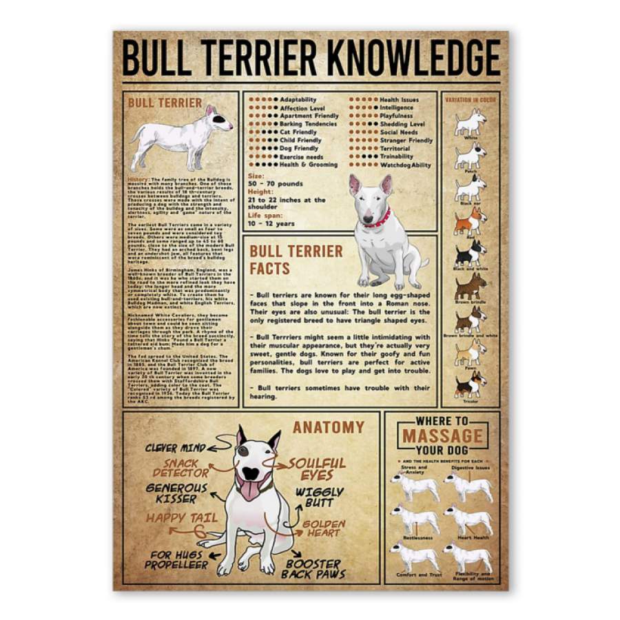 Bull Terrier Knowledge Custom Design Gift For Bull Terrier Lovers Poster