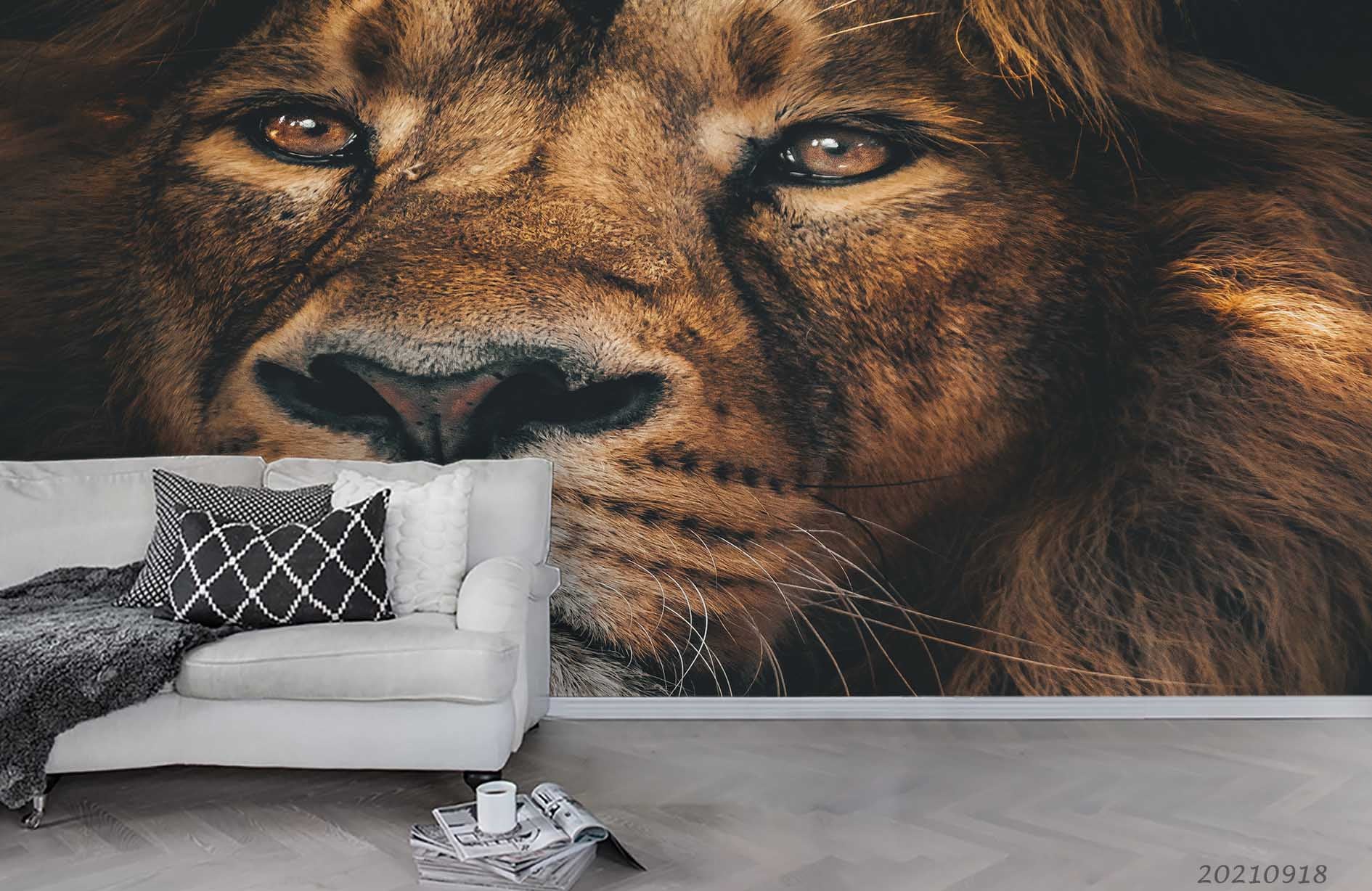 3D Animal Lion Wall Mural Wallpaper Lqh 566