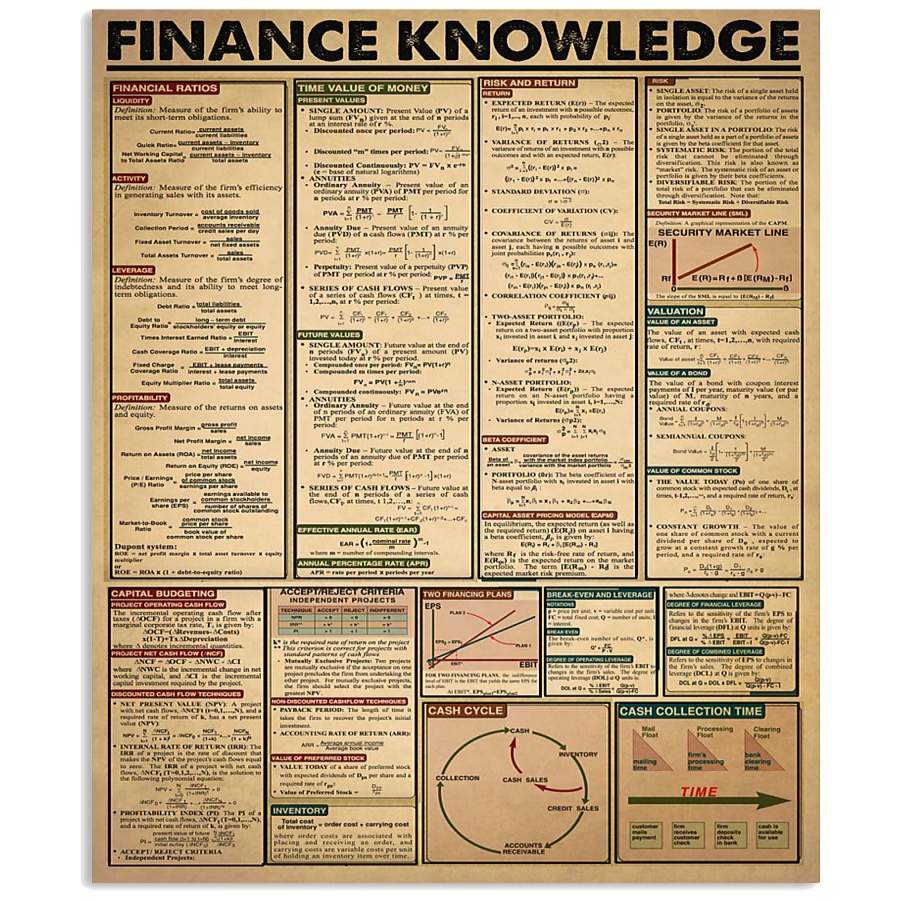 Accountant Finance Knowledge Great Gift Vertical Poster