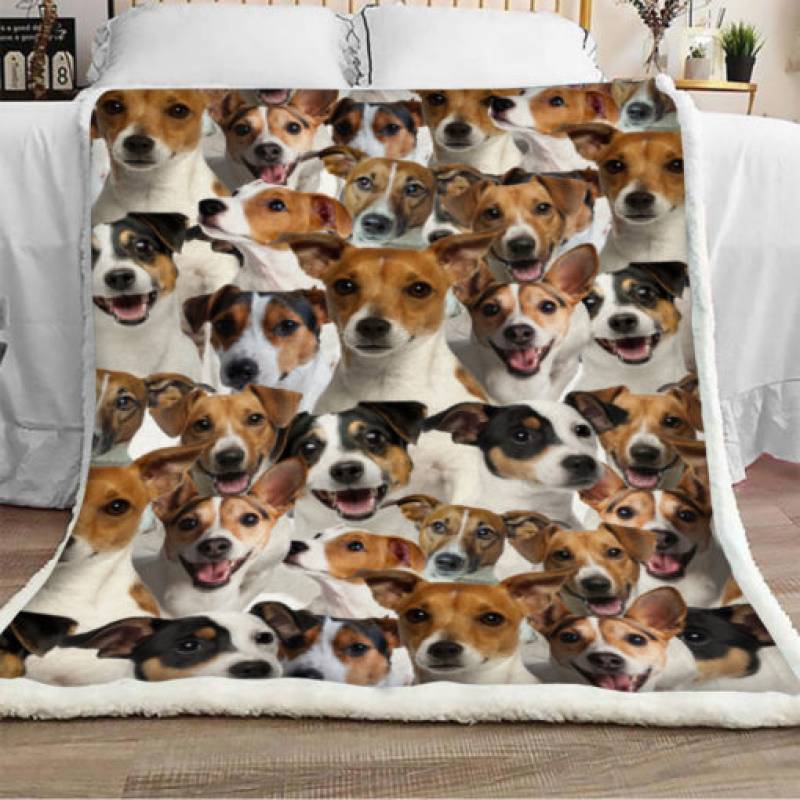 Jack Russell Dog Sherpa Blanket JR1001 67O43