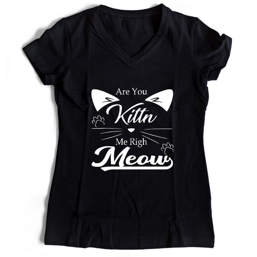 Are You Kitten Me Right Meow Kitty Women’s V-Neck Tee T-Shirt