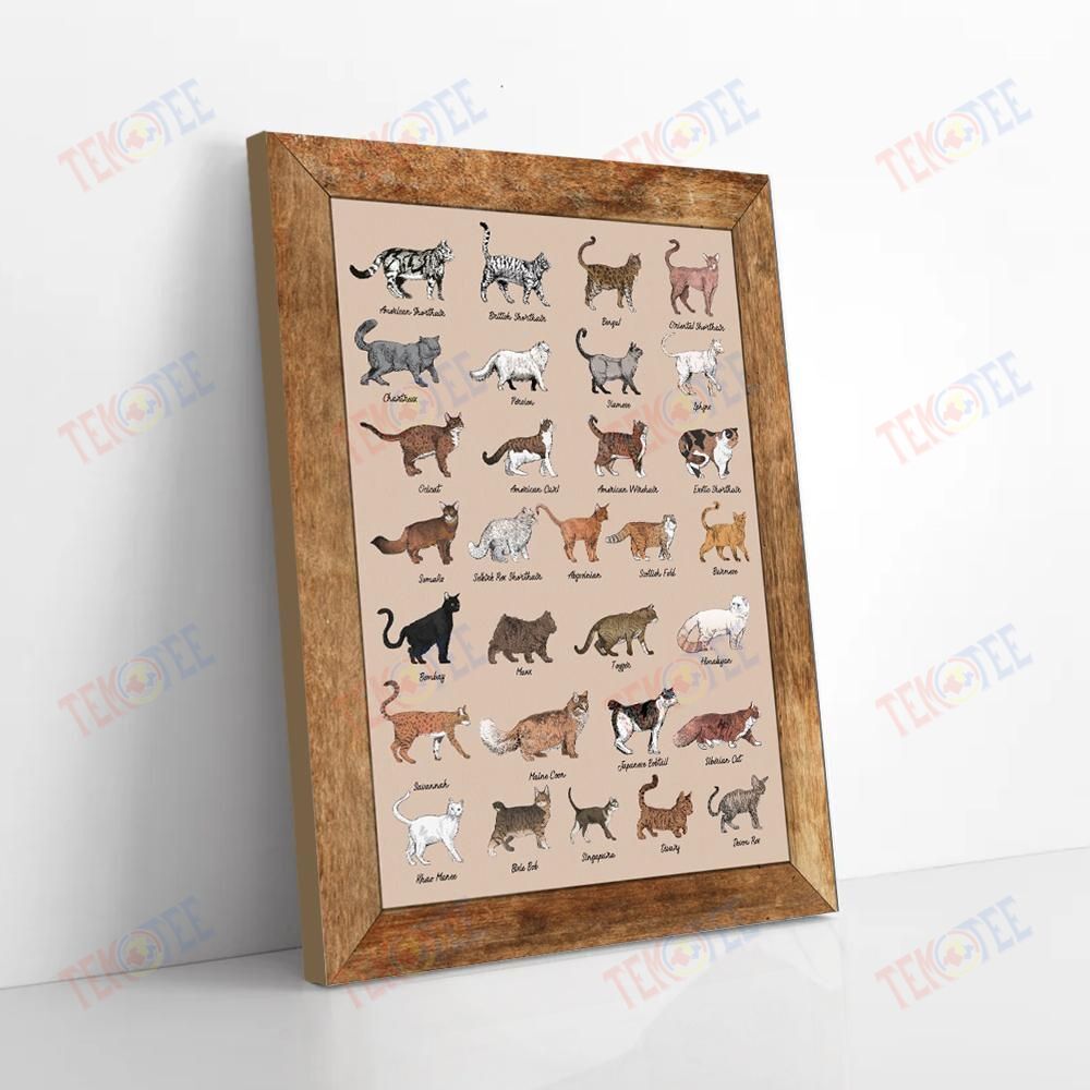 Canvas Prints All Cat Breeds Vintage Wall Art Canvas Stunning� Wall Art Home Decoration