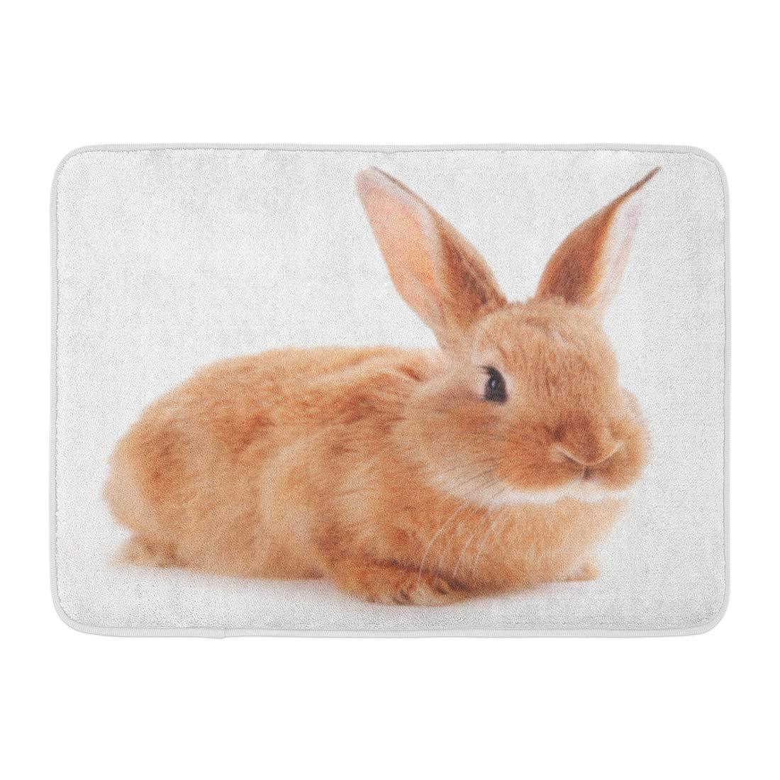 Alone Brown Bunny Little Rabbit White Adorable Animal Rug Doormat Welcome Mat House Warming Gift Home Decor Funny Doormat Gift Idea