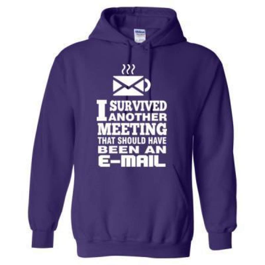 AGR I Survived Another Meeting That Should Have Been An Email – Heavy Blend™ Hooded Sweatshirt