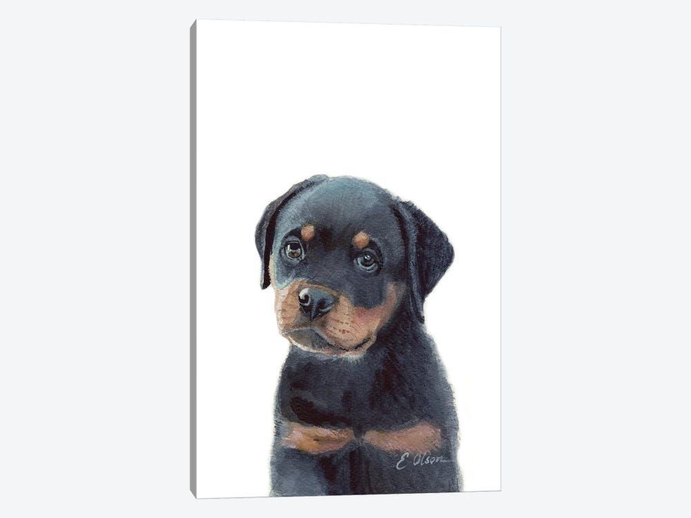 Rottweiler Puppy Canvas Poster 8″x12″ 12×18″ 18″x26″ 24″x36″ 30″x45″