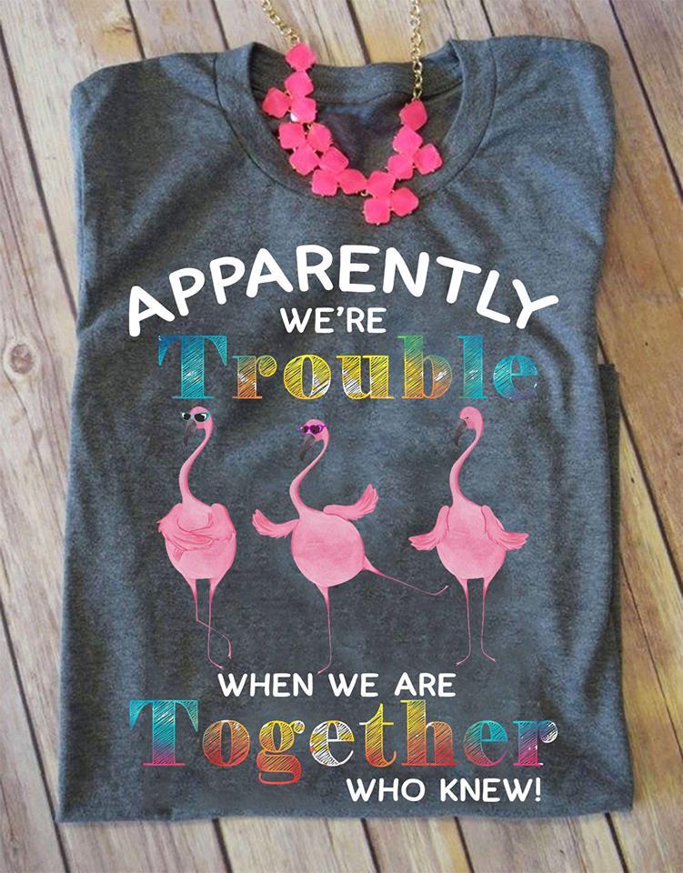 Flamingo We’re Trouble When We Are Together T-SHIRT