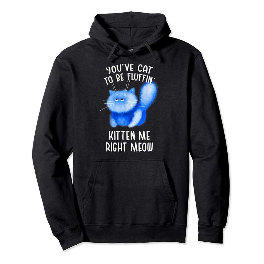 You’ve Cat To Be Fluffin’ Kitten Me Right Meow   Cat Pun Hoodie Premium Tee