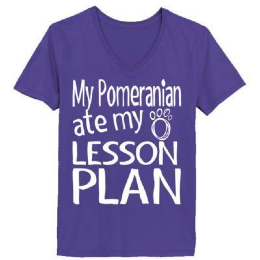 AGR My Pomeranian Ate My Lesson Plan – Ladies’ V-Neck T-Shirt