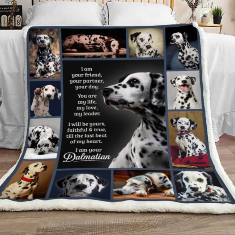 Dalmatian Dog Sherpa Blanket FB0103 90O47