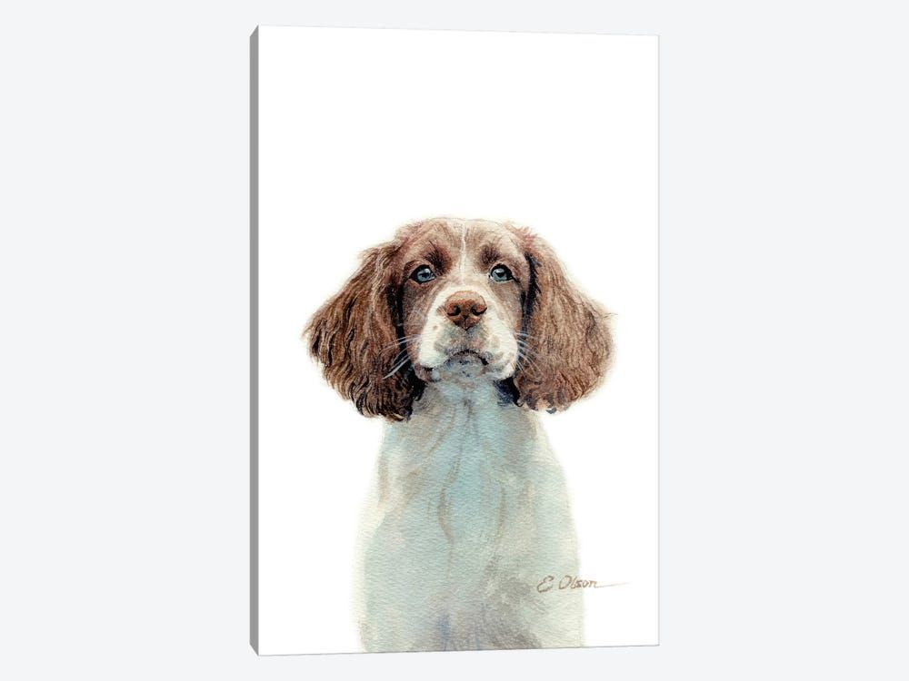 Springer Spaniel Puppy Canvas Poster 8″x12″ 12×18″ 18″x26″ 24″x36″ 30″x45″