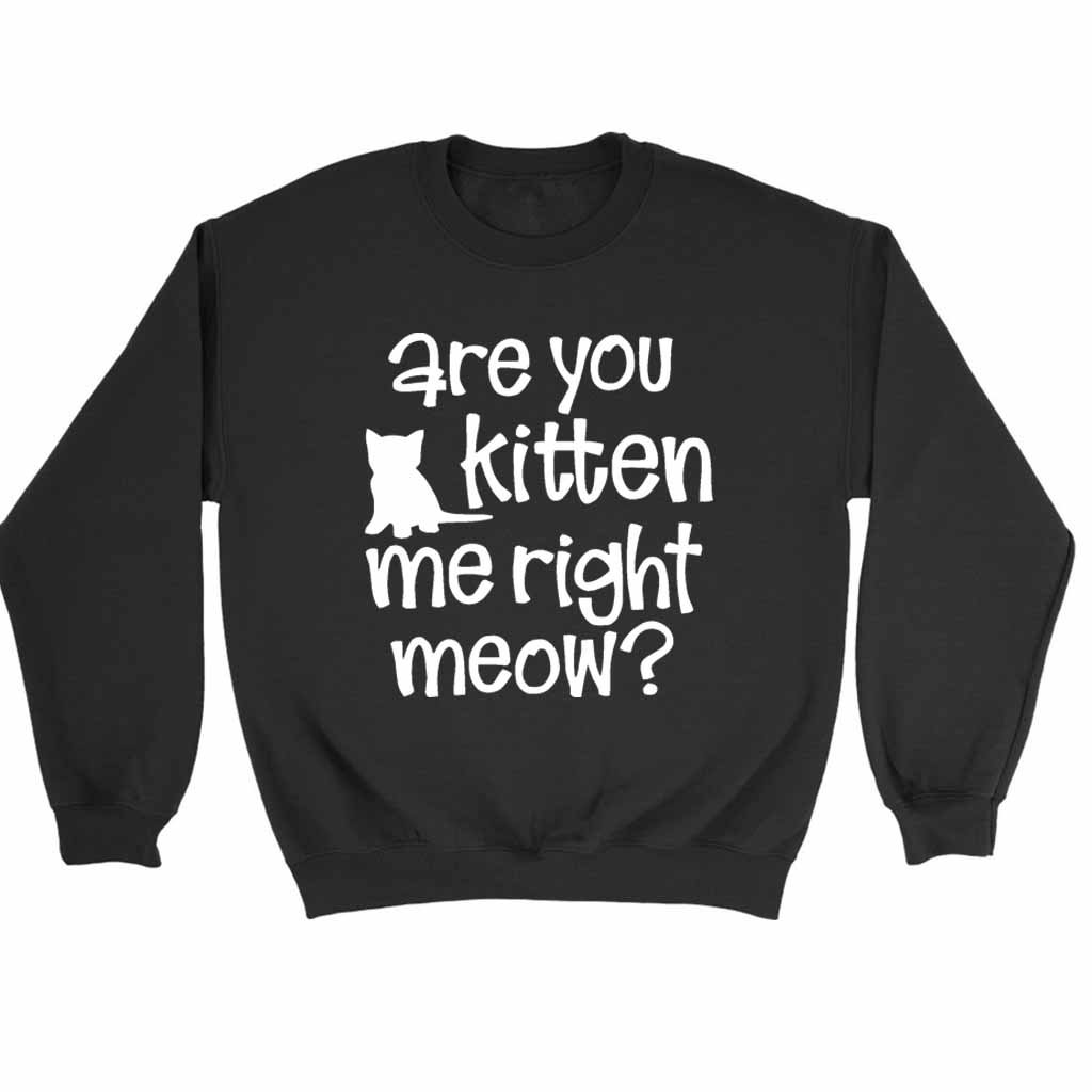 Are You Kitten Me Right Meow Onesie Sweatshirt Sweater