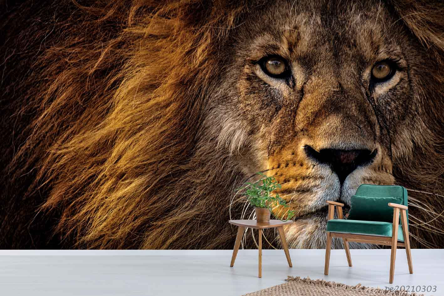 3D Animal Lion Wall Mural Wallpaper Lqh 133