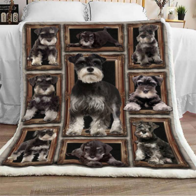 Schnauzer Dog Sherpa Blanket JR0802 95O35