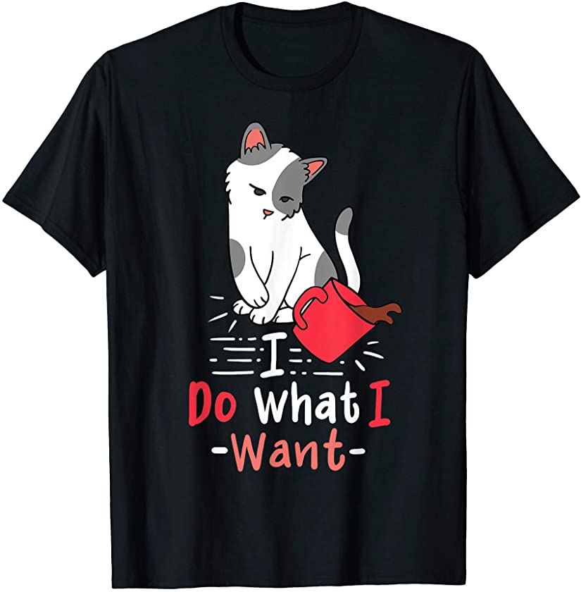 Cat Kitten Funny Gift T-Shirt