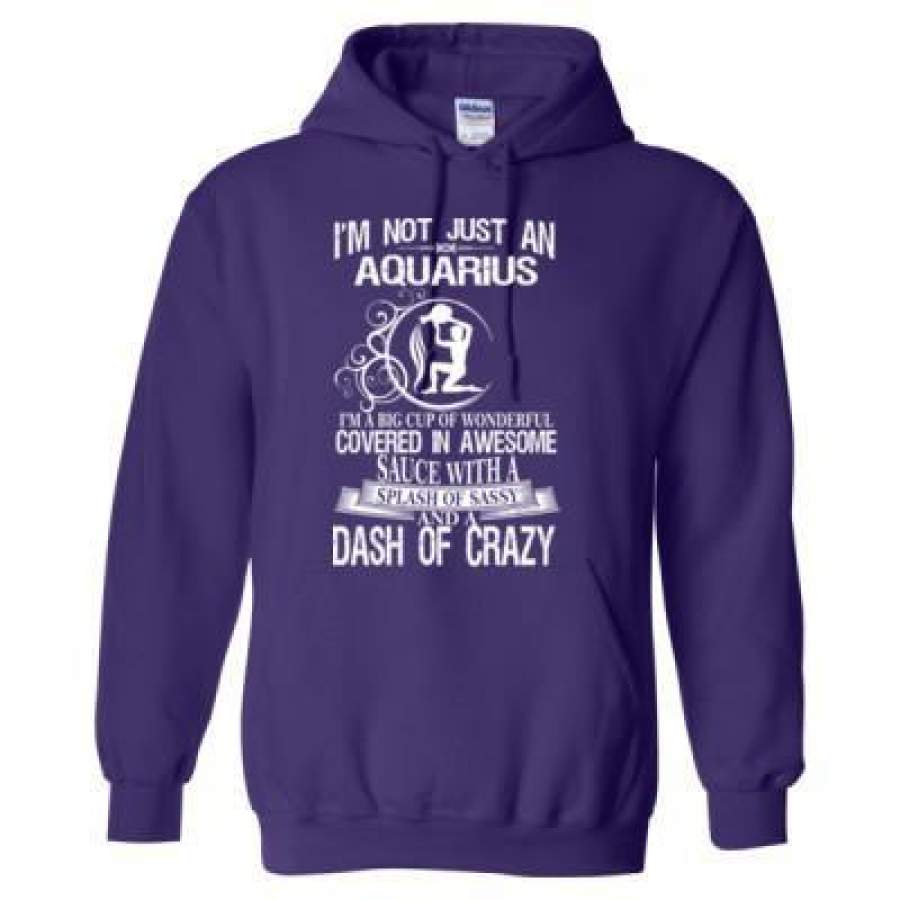 AGR Aquarius Im A Big Cup Of Wonderful Covered In Awesome Sauce With A Splash Of Sassy And A Dash Of Crazy – Heavy Blend™ Hooded Sweatshirt