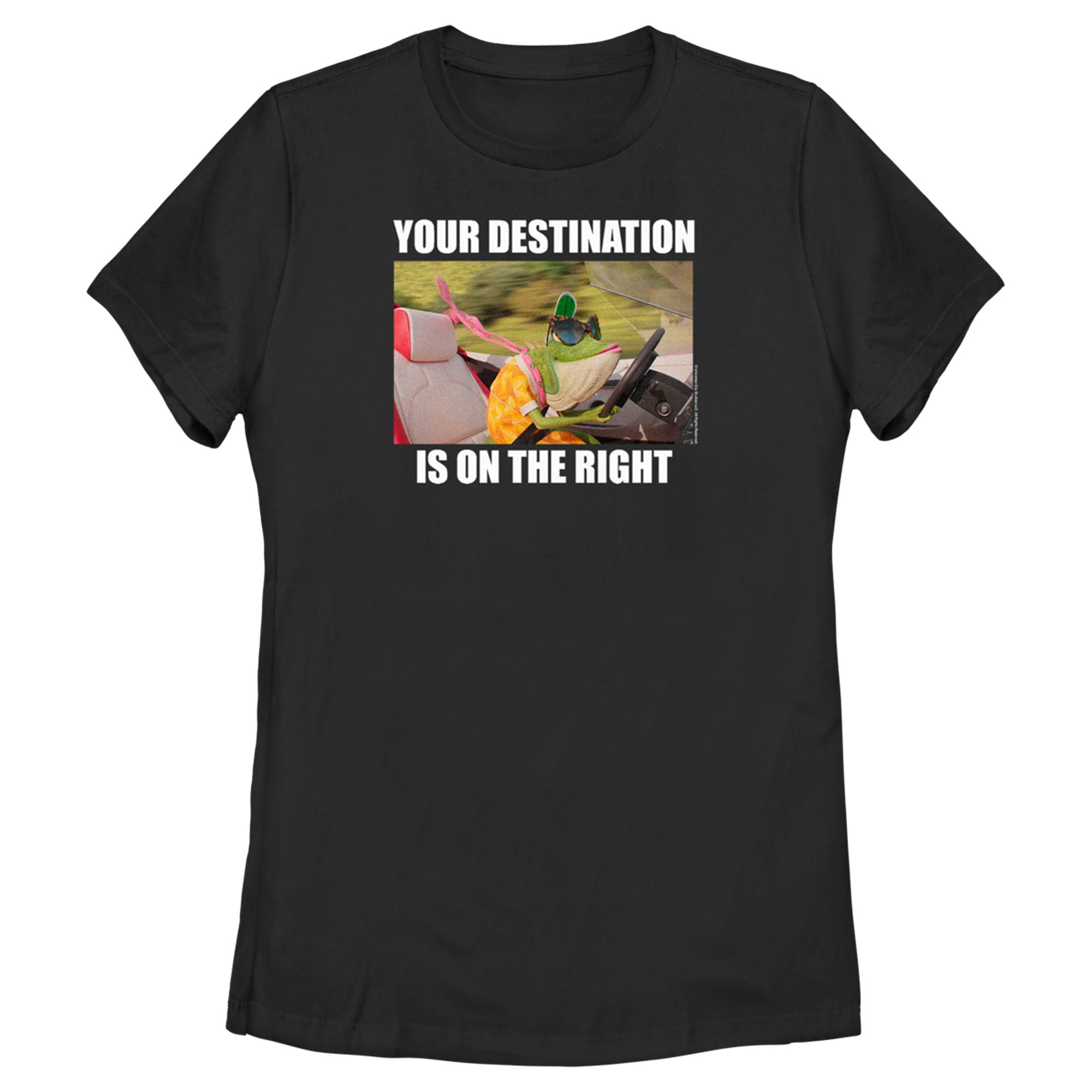 Women’S Sing 2 Miss Crawly Your Destination Is On The Right T-Shirt