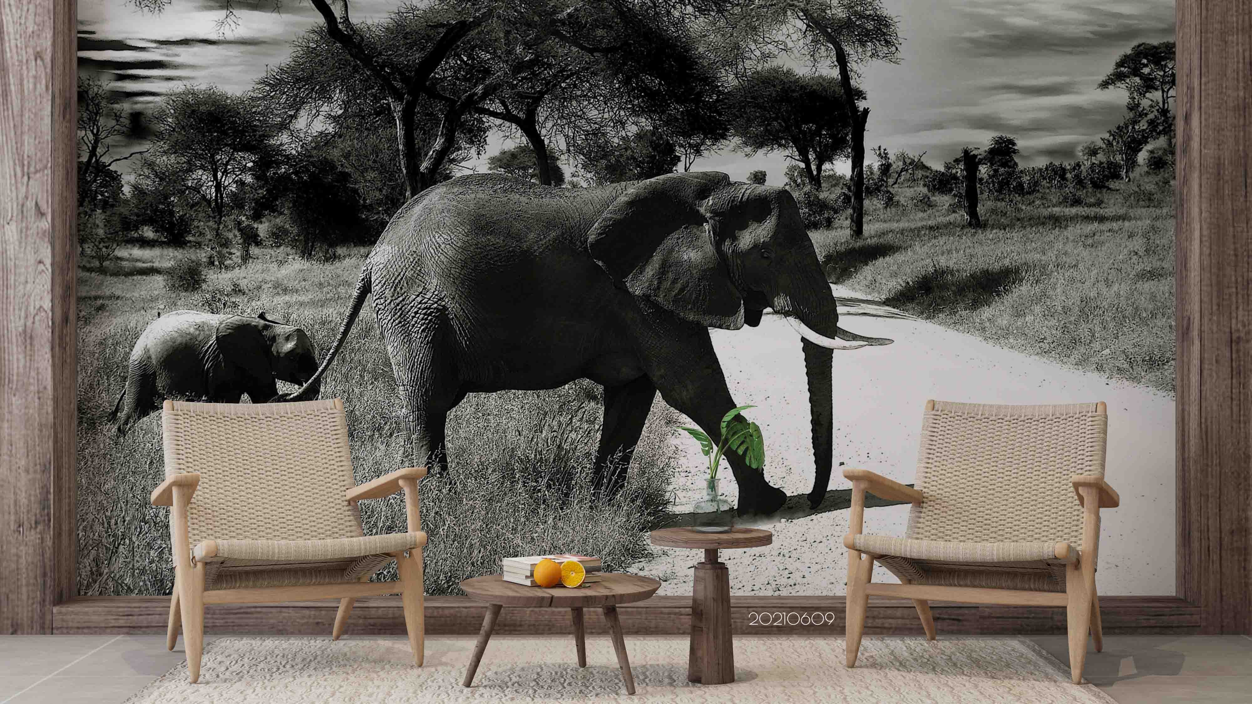 3D Grassland Elephant Grey  Wall Mural Wallpaper Sww1730