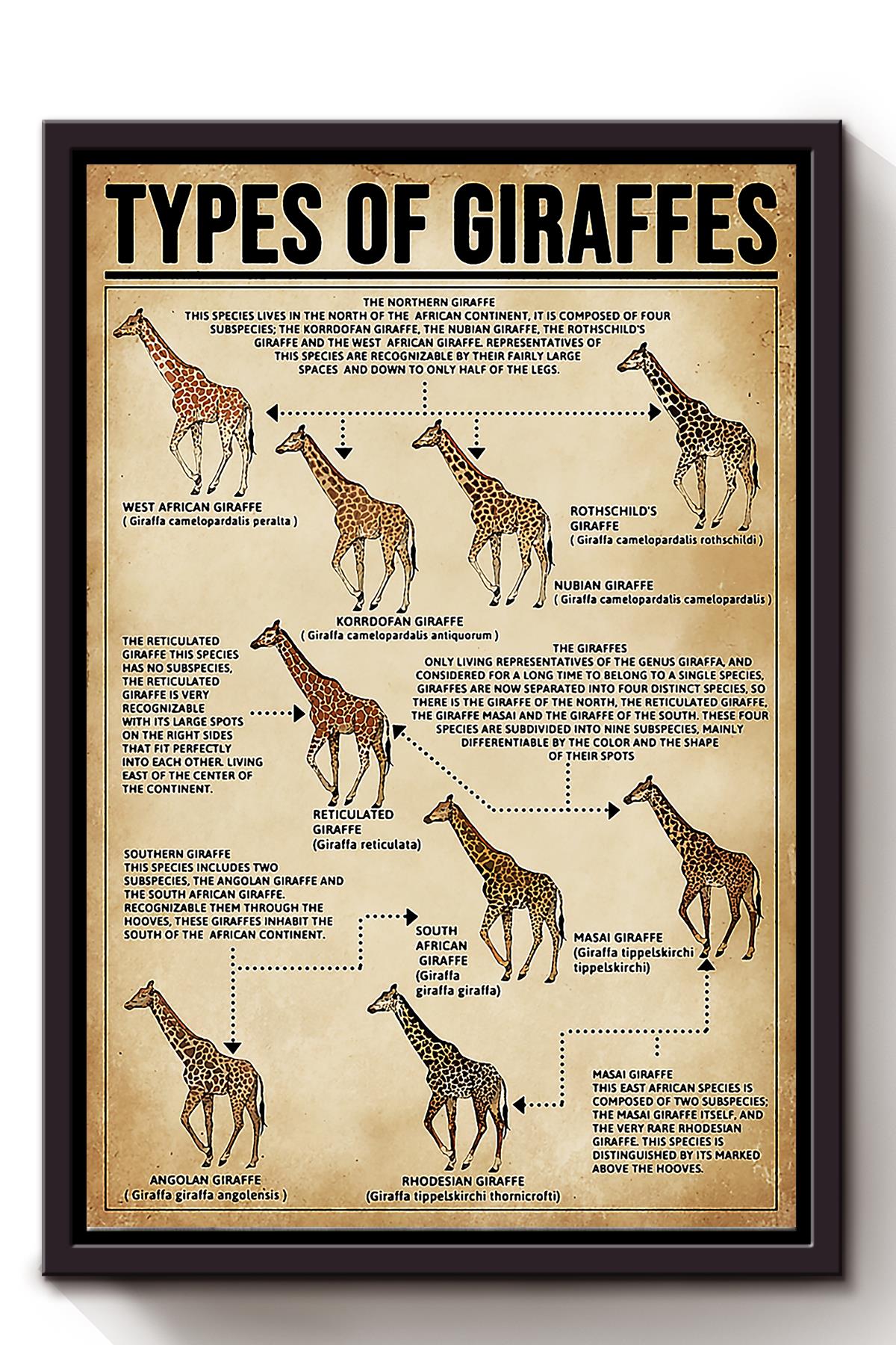 Types Of Giraffes Animal Wall Art Gift For Animal Lovers Researchers Framed Matte Canvas