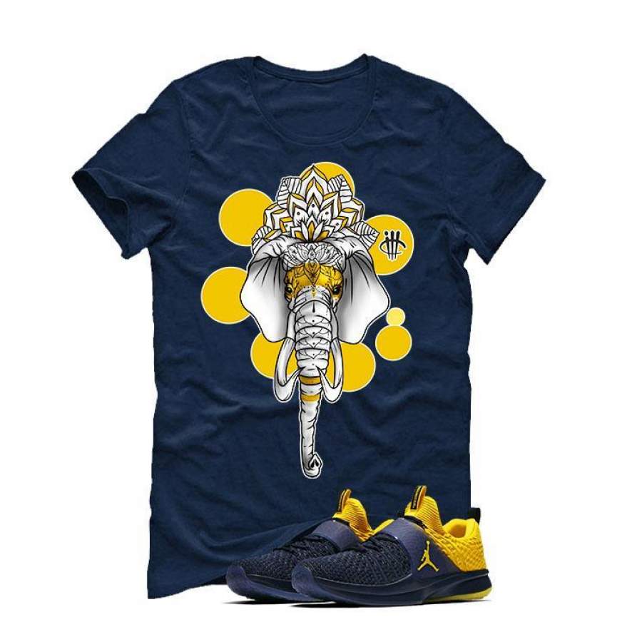 Jordan Trainer 2 Flyknit Michigan Blue T (ELEPHANT) T-shirt