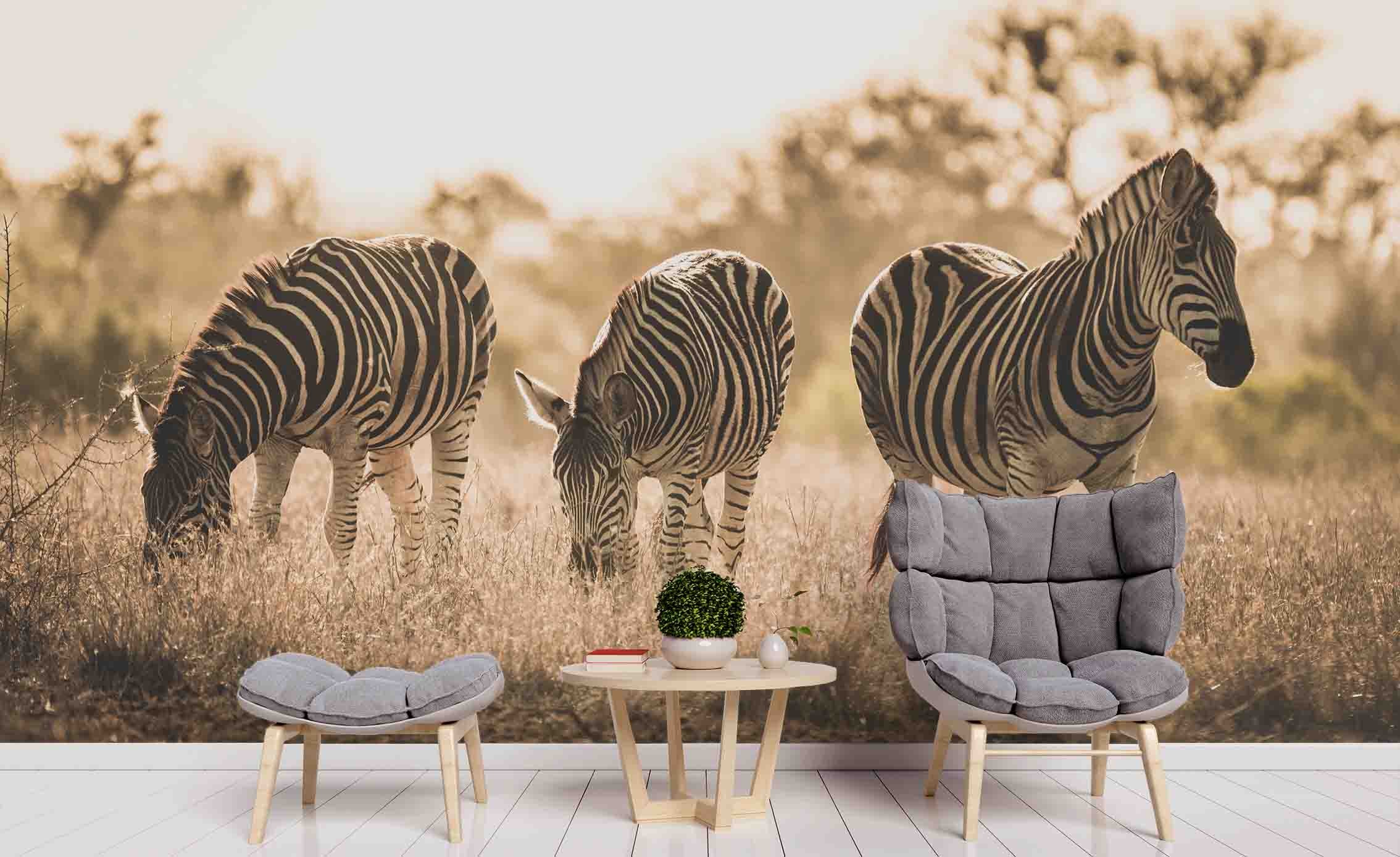 3D Sunshine Grassland Animals Zebra Wall Mural Wallpaper Zy D61