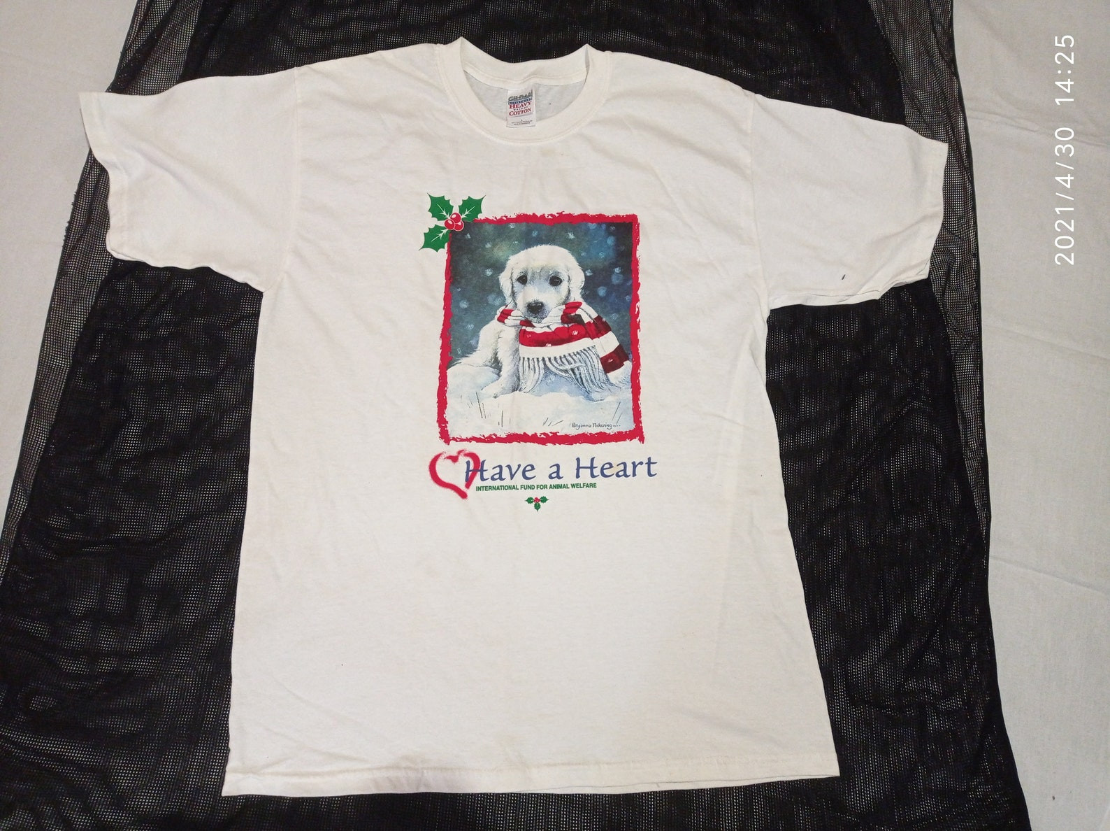 Vtg T Shirt International Fund For Animal Welfare   Ifaw