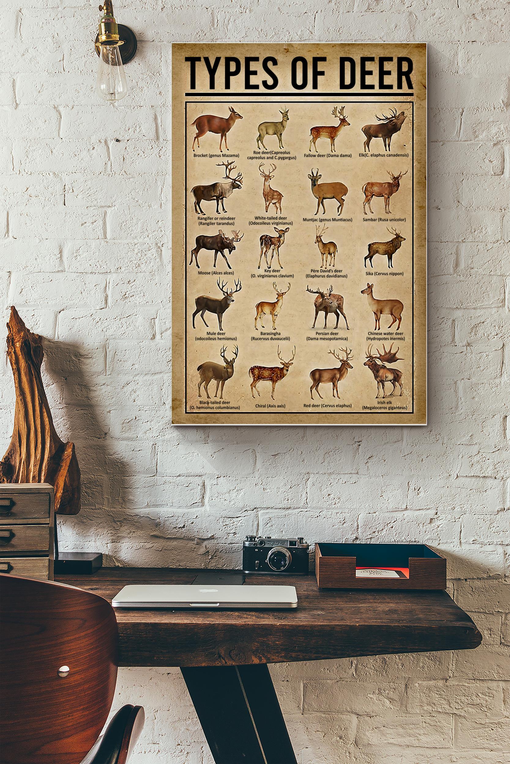 Types Of Deer In The World Poster – Animal Wall Art – Gift For Hunter Forest Lover Biologist Forest Creature Lover (Unframed) Poster