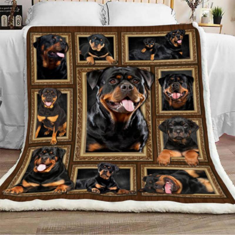 Rottweiler Dog Sherpa Blanket DCB2502 95O47