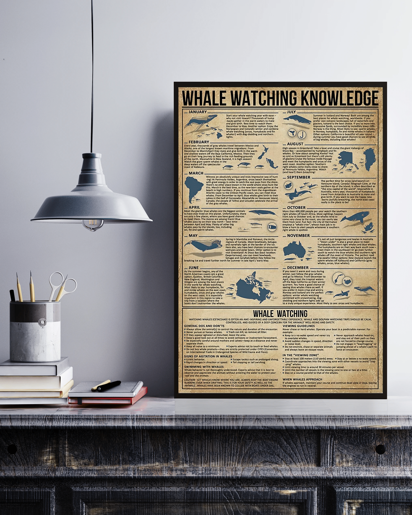 Planning Whale Watching Knowledge Canvas Prints Poster Wall Art