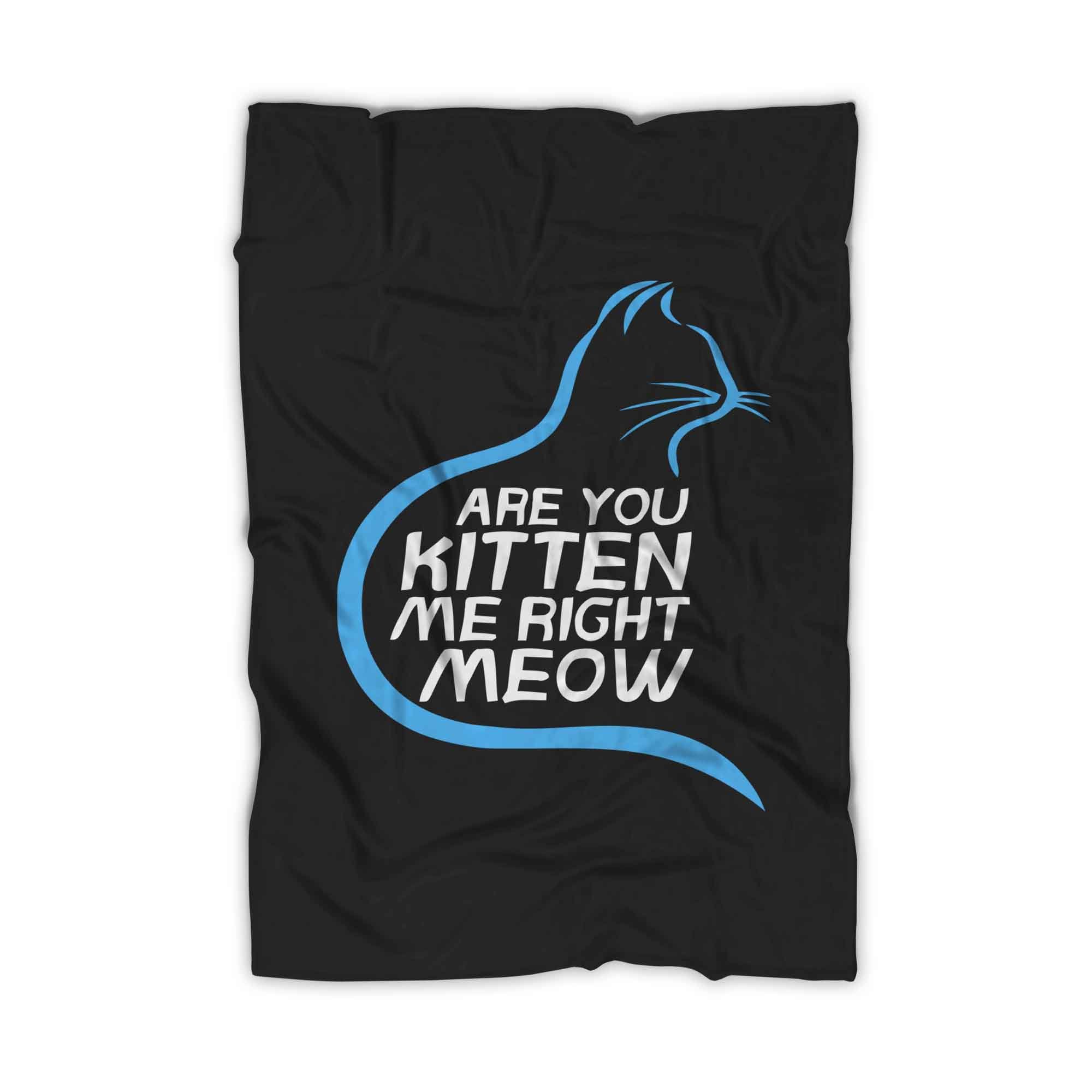 Are You Kitten Me Right Meow Hiden Blanket