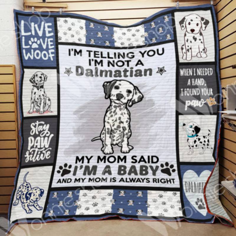 Dalmatian Dog Blanket DCB0203 73O31