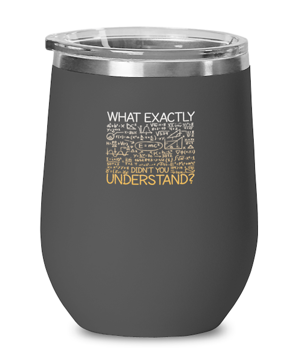 Wine Tumbler Stainless Steel Insulated Funny What Exactly Didn’T You Understand Calculus Math