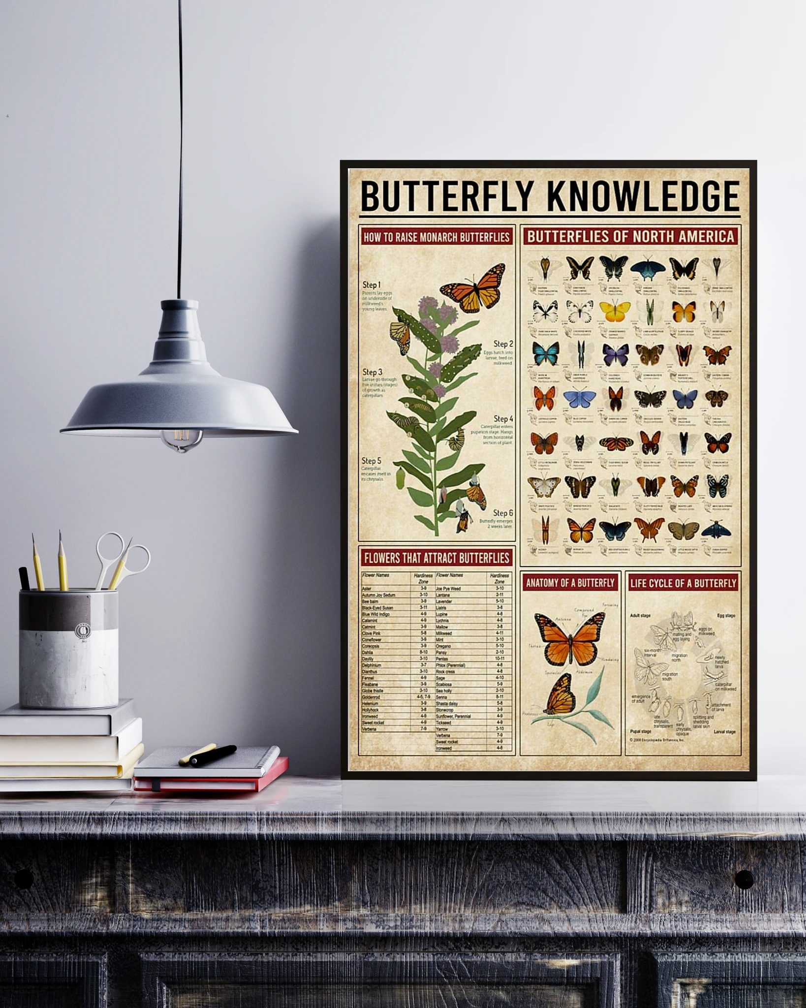 Butterfly Knowledge Poster