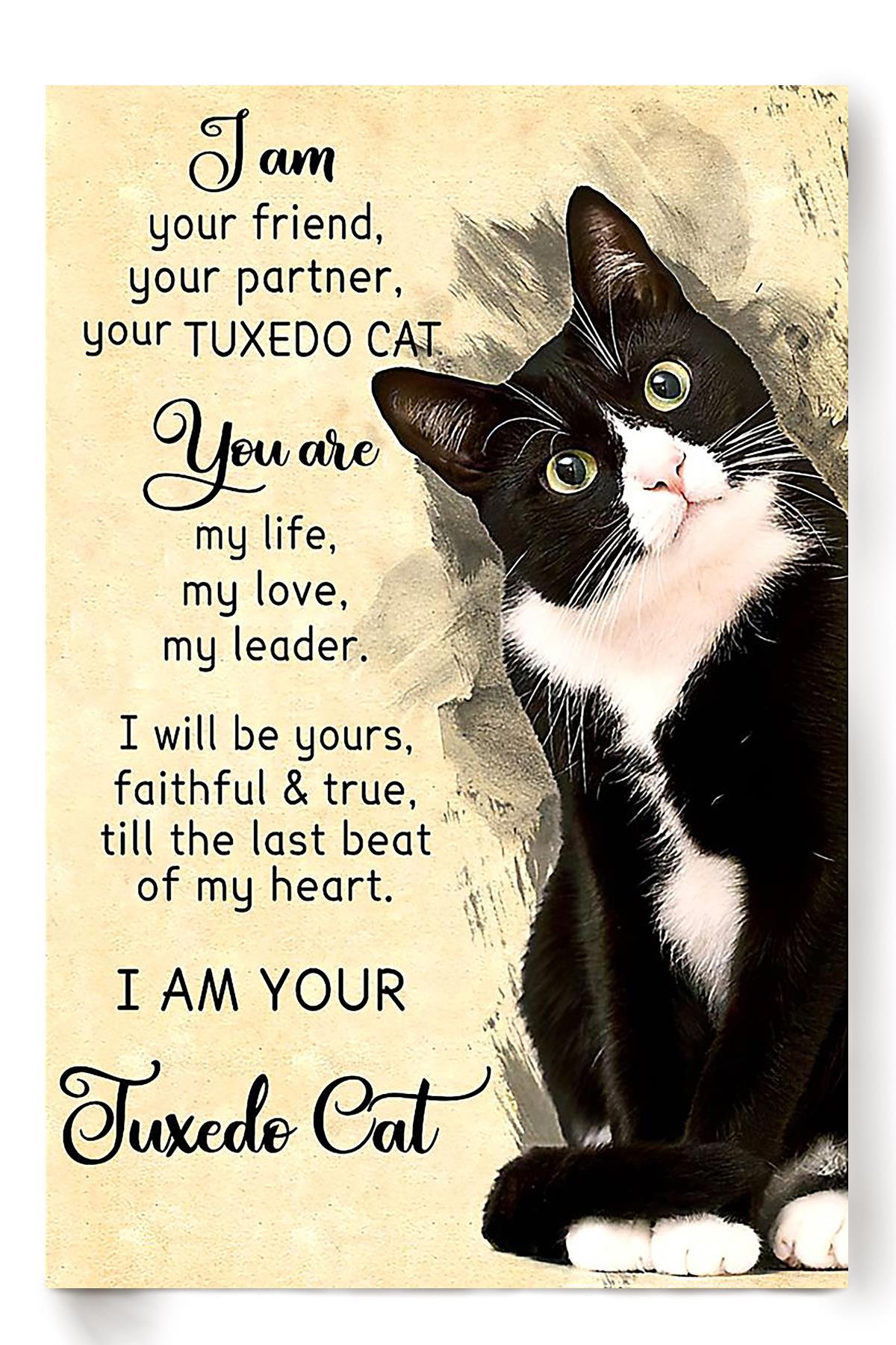 Tuxedo Cat I Am Your Animal Wall Art Gift For Cat Lover International Cat Day Kitten Foster Poster