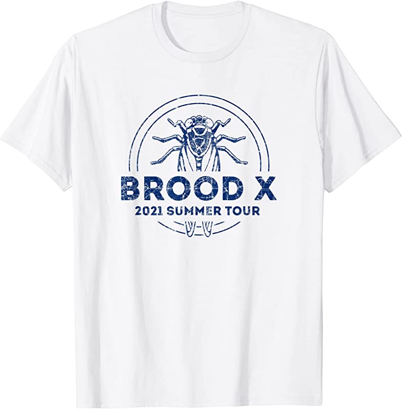 Vintage retro graphic logo Brood X Cicadas 2021 Summer Tour T-Shirt