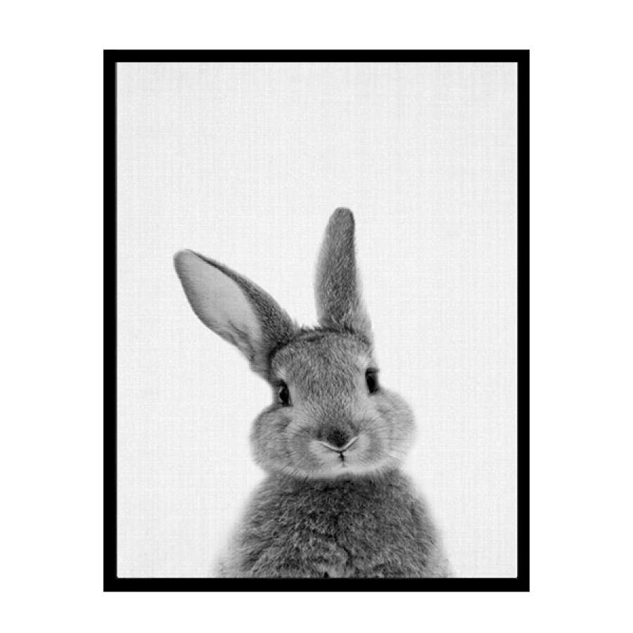 B&W Bunny Front Poster