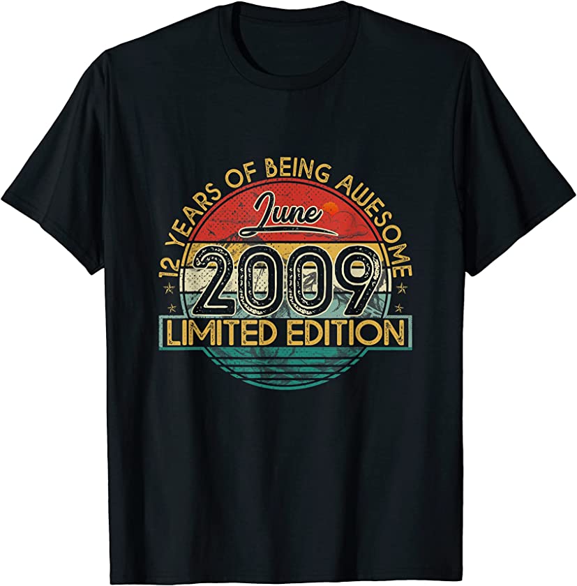 Vintage Retro June 2009 12th Birthday Gift 12 Years Old T-Shirt